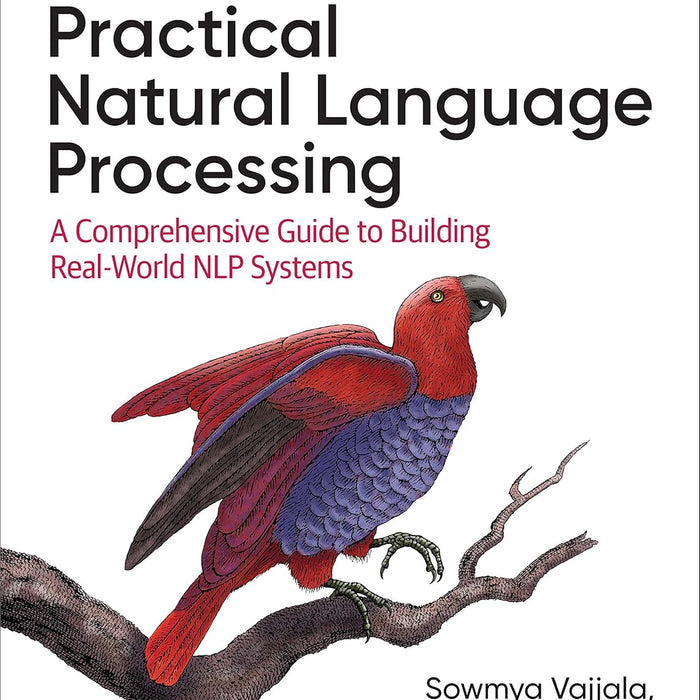 Practical Natural Language Processing