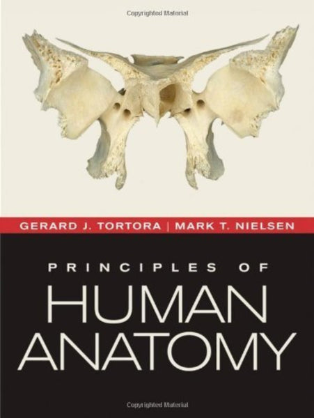 Principles Of Human Anatomy 