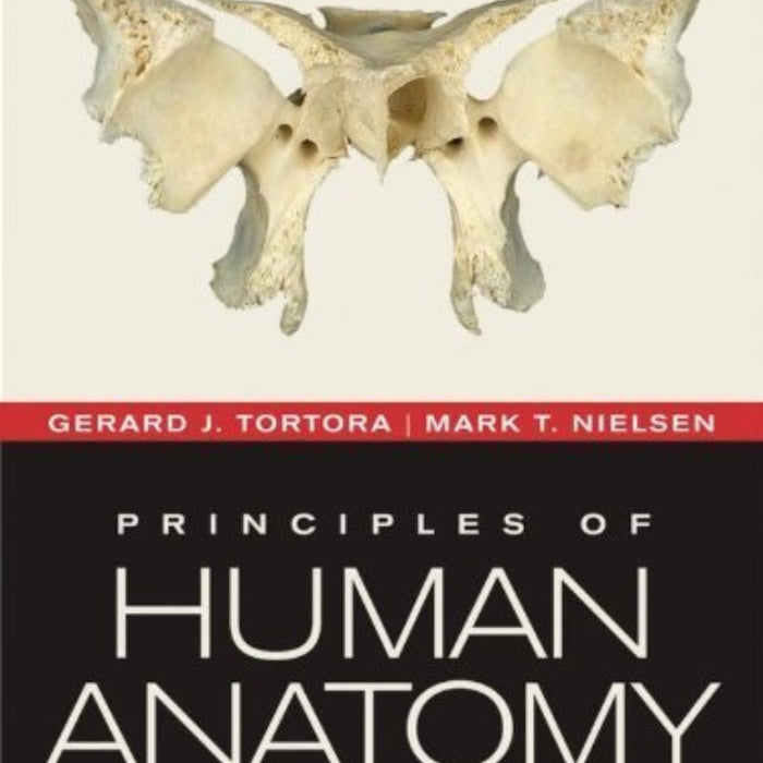 Principles Of Human Anatomy 