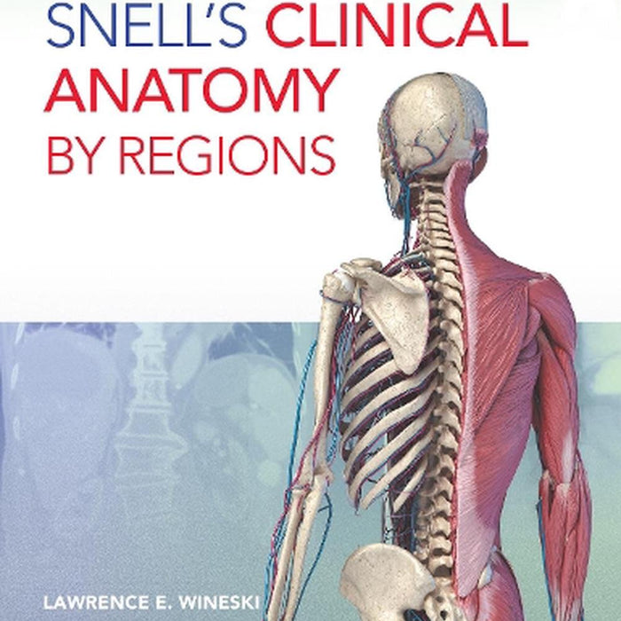 Snell's Clinical Anatomy by Regions 12th Edition 