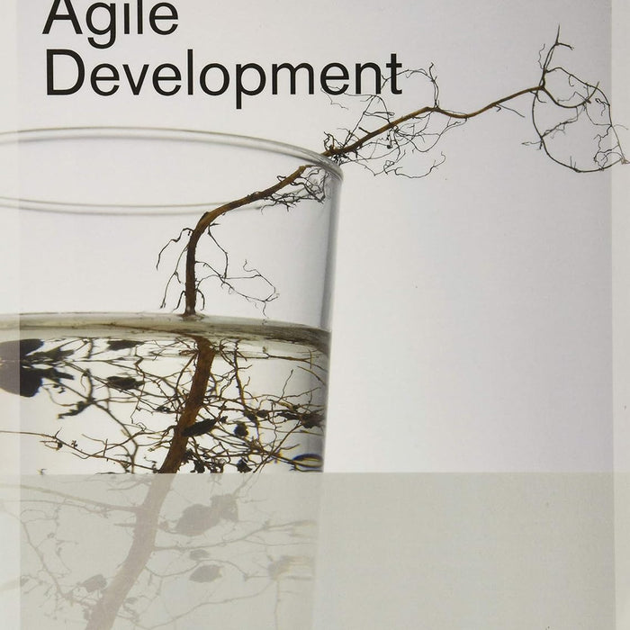 The Art of Agile Development 