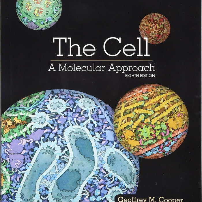 The Cell: A Molecular Approach 