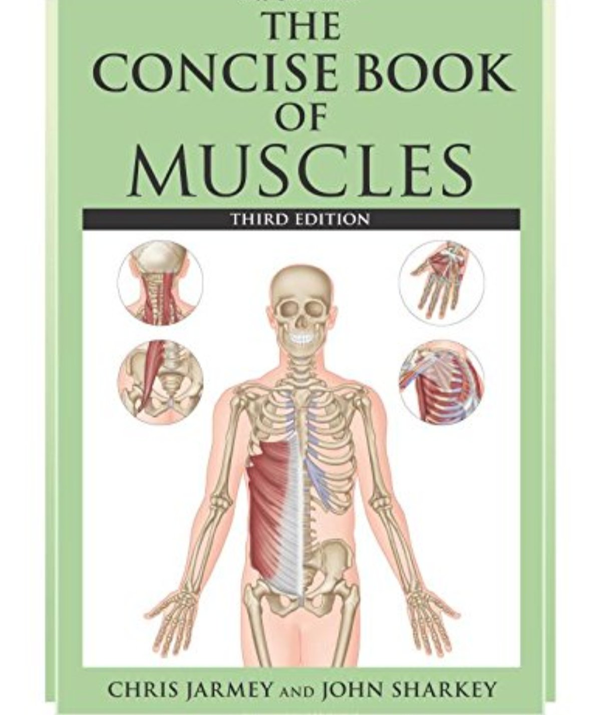 Concise Books The Concise Book of Muscles by Chris Jarmey (Author) – BooksNbooks