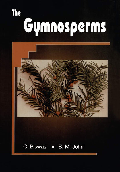 The Gymnosperms 