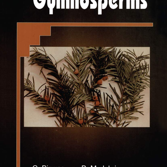 The Gymnosperms 