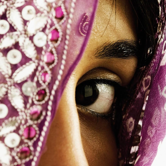 The Pakistani Bride 