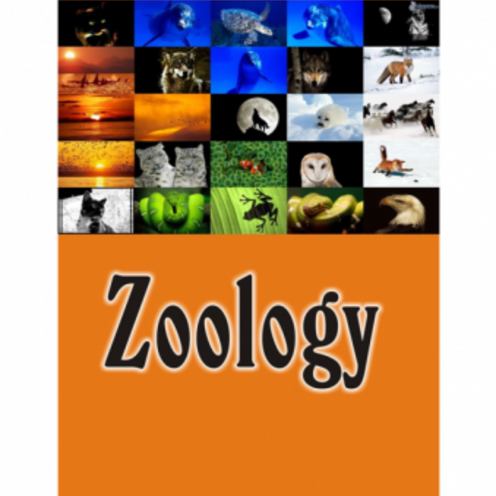 Zoology 4th Edition by Stephen A. Miller 