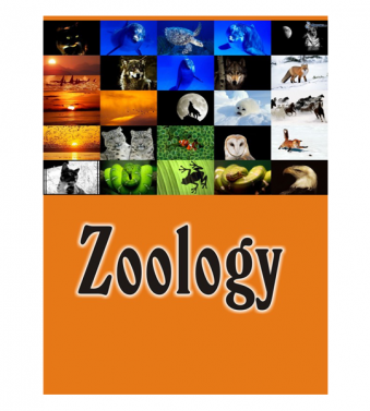 Zoology 4th Edition by Stephen A. Miller 