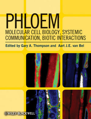 Phloem by Gary A. Thompson 