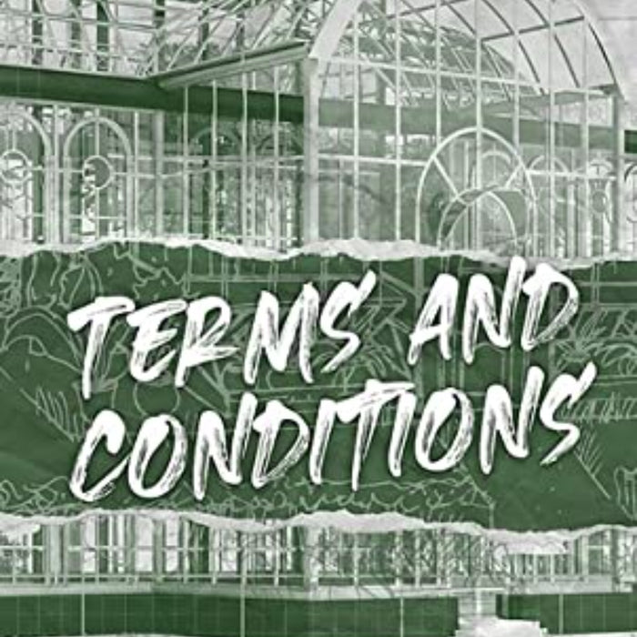 Terms And Conditions By Lauren Asher