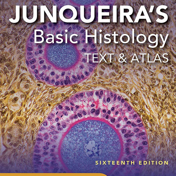 Junqueiras Basic Histology Text & Atlas 16th Edition By Anthony L Mescher