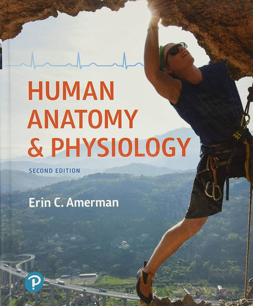  Human Anatomy & Physiology