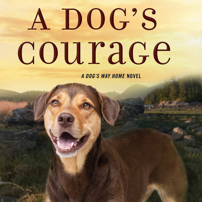 A Dog Courage A Dog Way Home Novel W Bruce Cameron