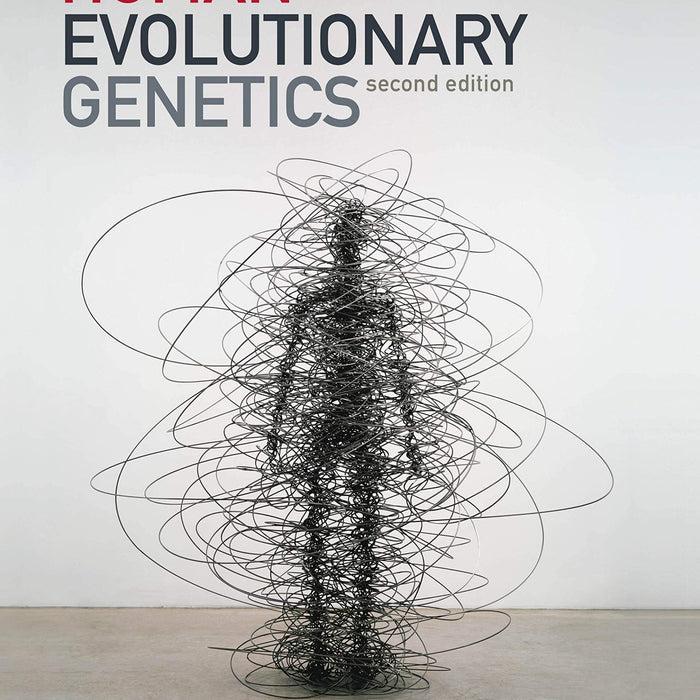 Human Evolutionary Genetics