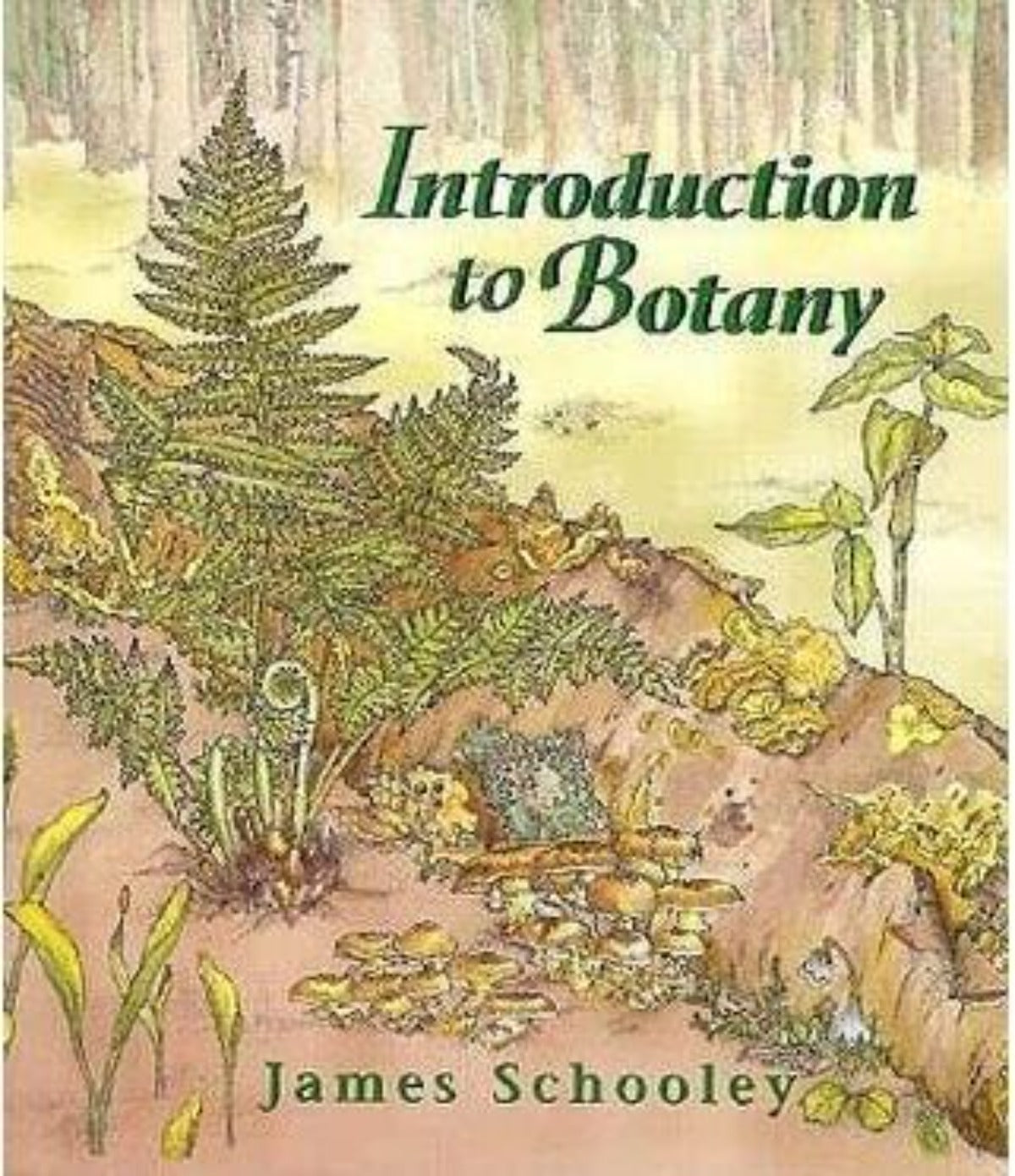 Botany Basic Book Introduction to Botany by James Schooley (Author) – BooksNbooks