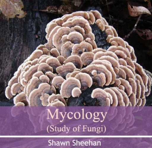 Mycology Study Of Fungi