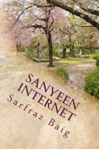 Sanyeen Internet 