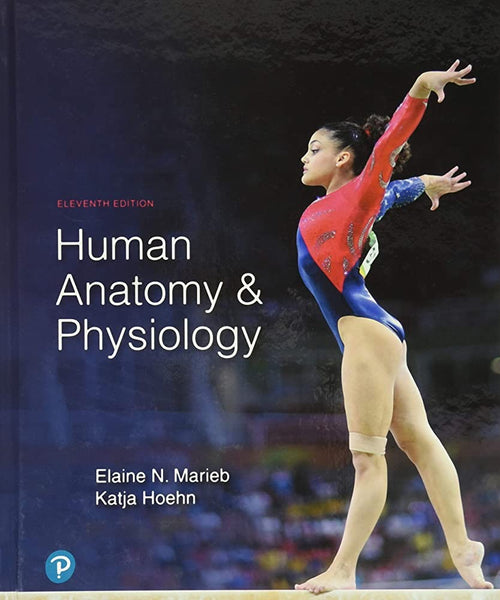 Human Anatomy & Physiology 