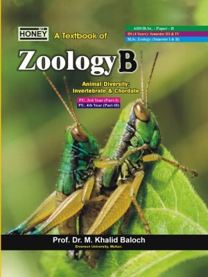 Honey Zoology Animal Diversity, Invertebrate & Chordate Paper B Khalid 